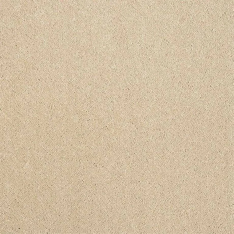 Abingdon Stainfree Captivation Carpet Exen Flooring