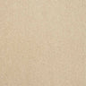 Abingdon Stainfree Captivation Carpet Exen Flooring