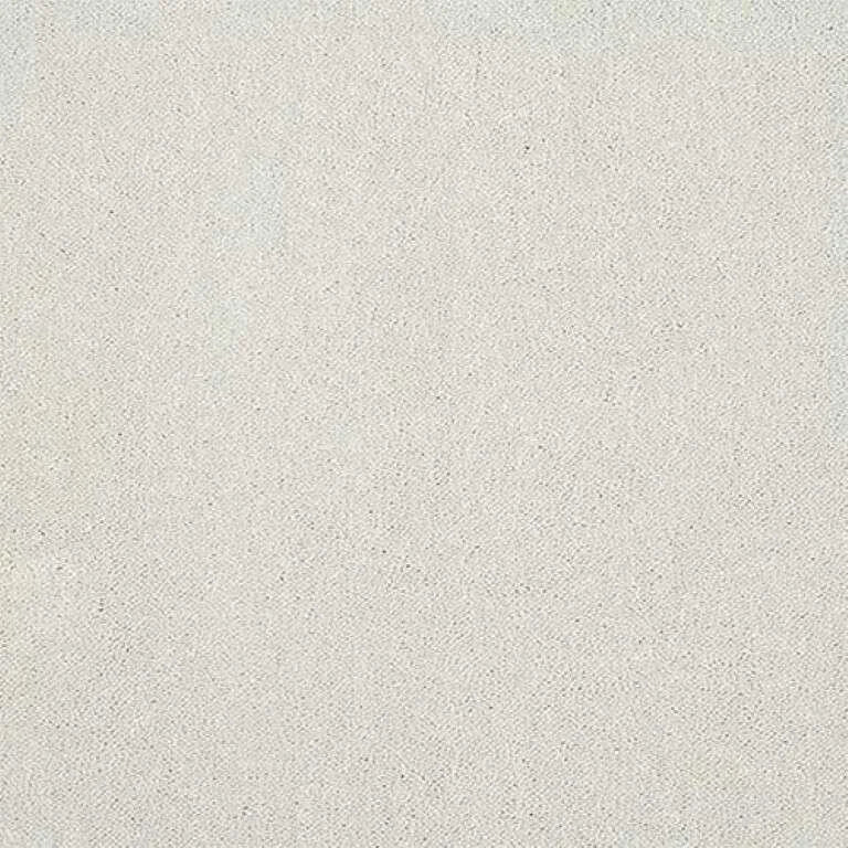 Abingdon Stainfree Captivation Carpet Exen Flooring