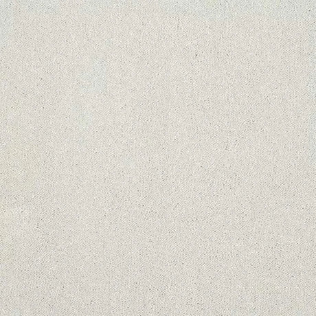Abingdon Stainfree Captivation Carpet Exen Flooring