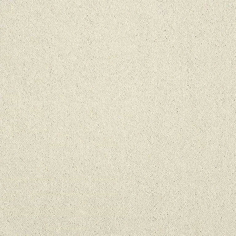 Abingdon Stainfree Captivation Carpet Exen Flooring