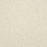 Abingdon Stainfree Captivation Carpet Exen Flooring
