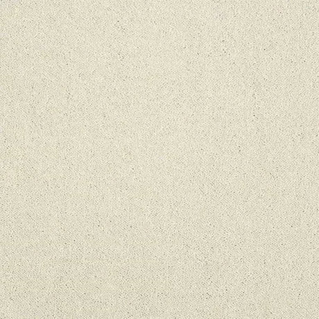 Abingdon Stainfree Captivation Carpet Exen Flooring