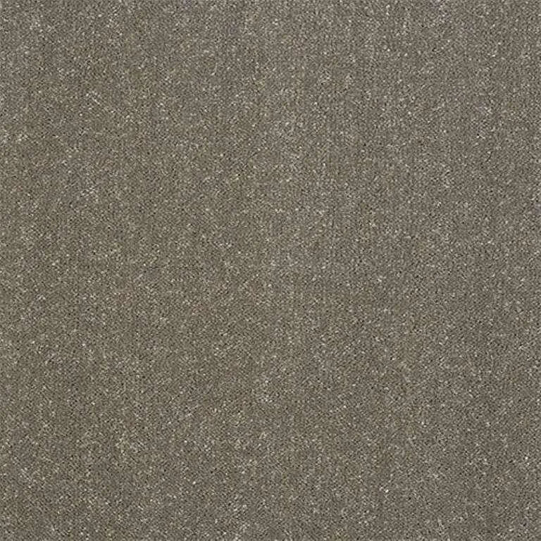 Abingdon Stainfree Captivation Carpet Exen Flooring