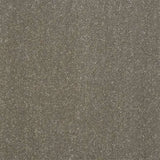 Abingdon Stainfree Captivation Carpet Exen Flooring