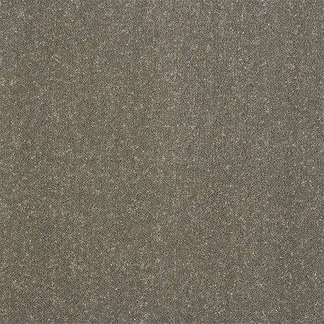 Abingdon Stainfree Captivation Carpet Exen Flooring