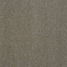 Abingdon Stainfree Captivation Carpet Exen Flooring
