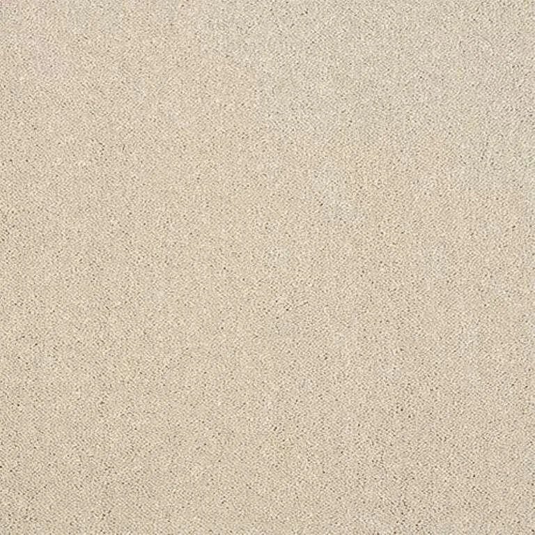 Abingdon Stainfree Captivation Carpet Exen Flooring