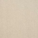 Abingdon Stainfree Captivation Carpet Exen Flooring