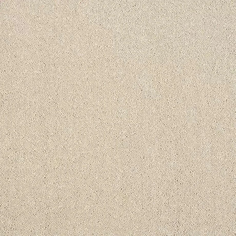Abingdon Stainfree Captivation Carpet Exen Flooring
