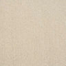 Abingdon Stainfree Captivation Carpet Exen Flooring