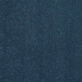 Abingdon Stainfree Captivation Carpet Exen Flooring