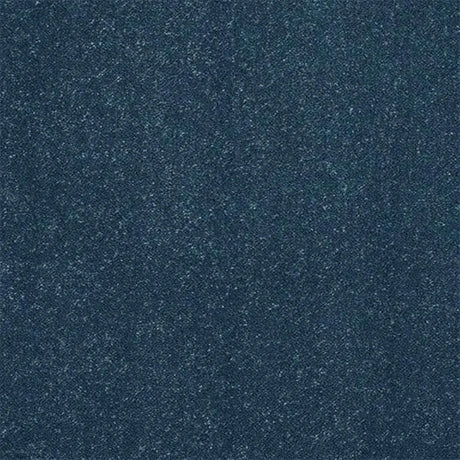 Abingdon Stainfree Captivation Carpet Exen Flooring