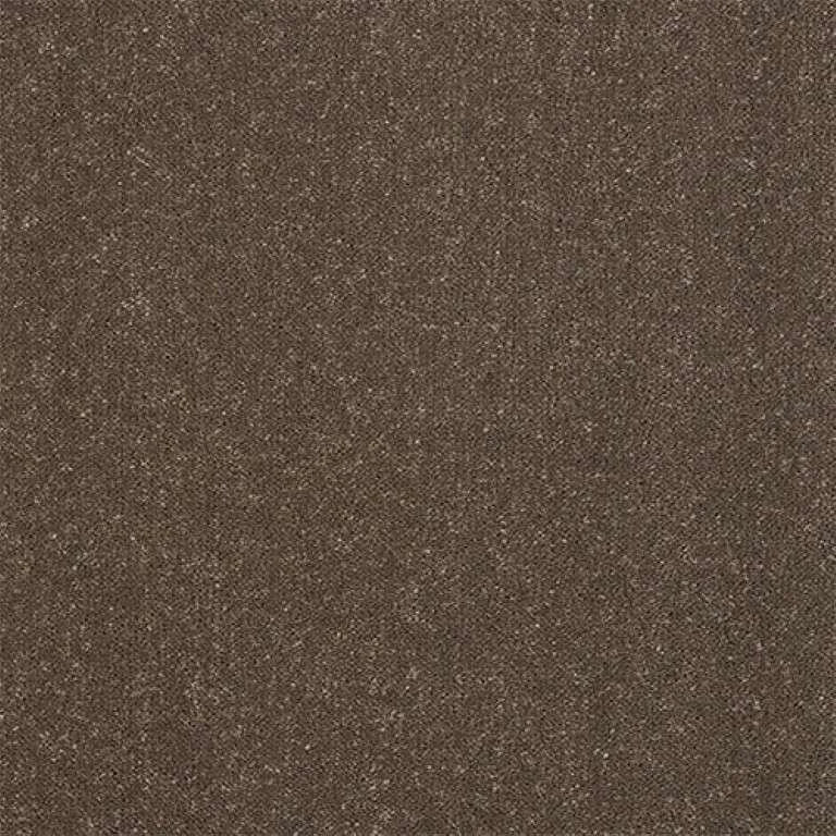 Abingdon Stainfree Captivation Carpet Exen Flooring