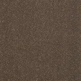 Abingdon Stainfree Captivation Carpet Exen Flooring