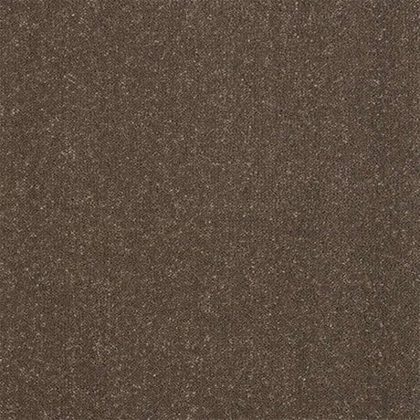 Abingdon Stainfree Captivation Carpet Exen Flooring