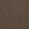 Abingdon Stainfree Captivation Carpet Exen Flooring