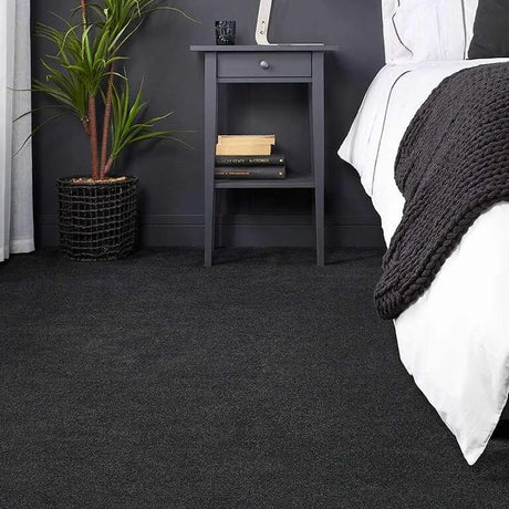 Abingdon Stainfree Captivation Carpet Exen Flooring