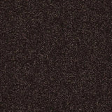 Abingdon Stainfree Caress Carpet Exen Flooring