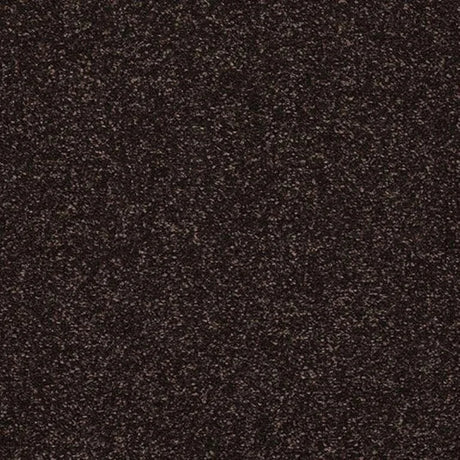 Abingdon Stainfree Caress Carpet Exen Flooring
