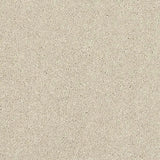 Abingdon Stainfree Caress Carpet Exen Flooring