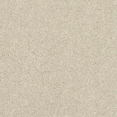 Abingdon Stainfree Caress Carpet Exen Flooring