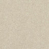 Abingdon Stainfree Caress Carpet Exen Flooring