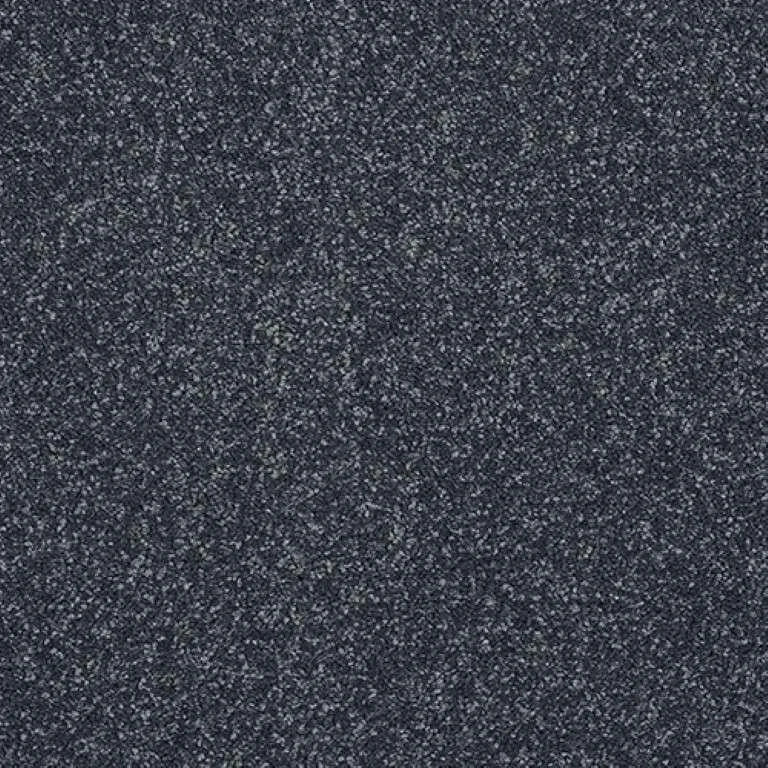 Abingdon Stainfree Caress Carpet Exen Flooring