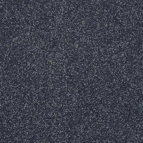 Abingdon Stainfree Caress Carpet Exen Flooring