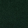 Abingdon Stainfree Caress Carpet Exen Flooring