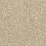 Abingdon Stainfree Caress Carpet Exen Flooring
