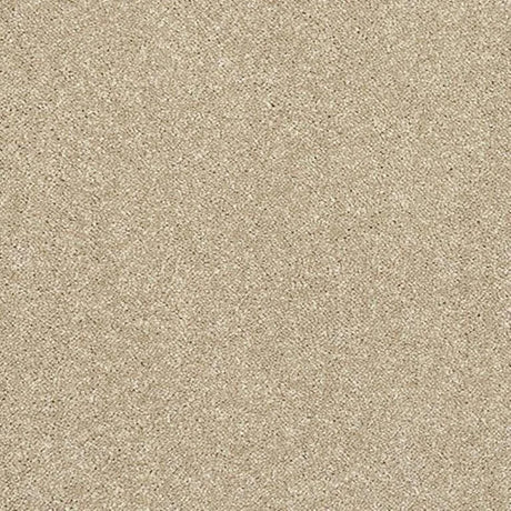 Abingdon Stainfree Caress Carpet Exen Flooring