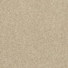 Abingdon Stainfree Caress Carpet Exen Flooring