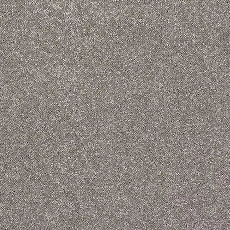 Abingdon Stainfree Caress Carpet Exen Flooring