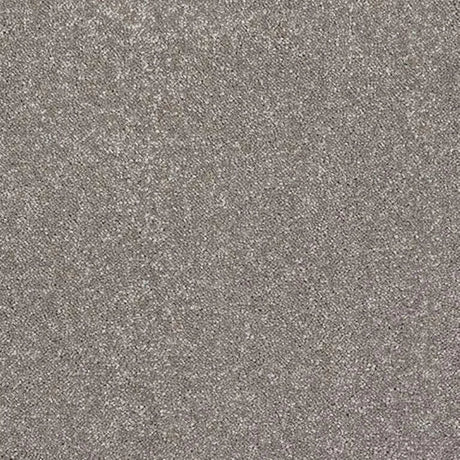 Abingdon Stainfree Caress Carpet Exen Flooring