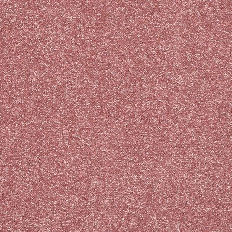 Abingdon Stainfree Caress Carpet Exen Flooring