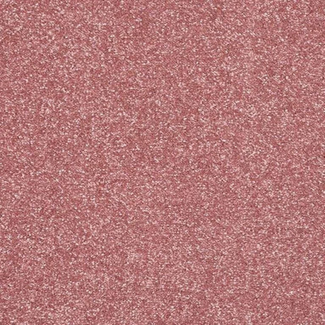 Abingdon Stainfree Caress Carpet Exen Flooring