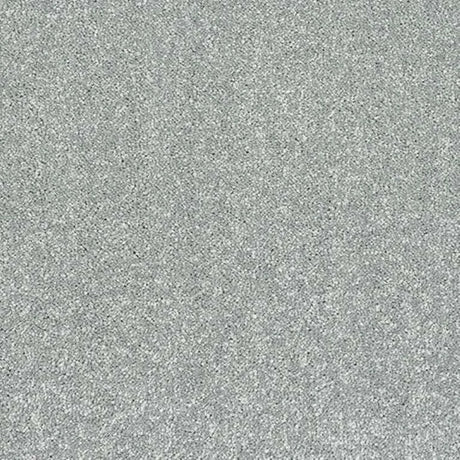 Abingdon Stainfree Caress Carpet Exen Flooring