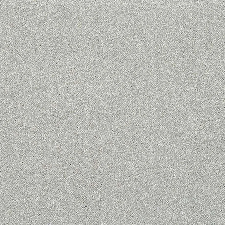 Abingdon Stainfree Caress Carpet Exen Flooring