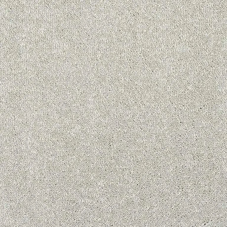 Abingdon Stainfree Caress Carpet Exen Flooring