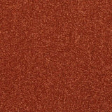 Abingdon Stainfree Caress Carpet Exen Flooring