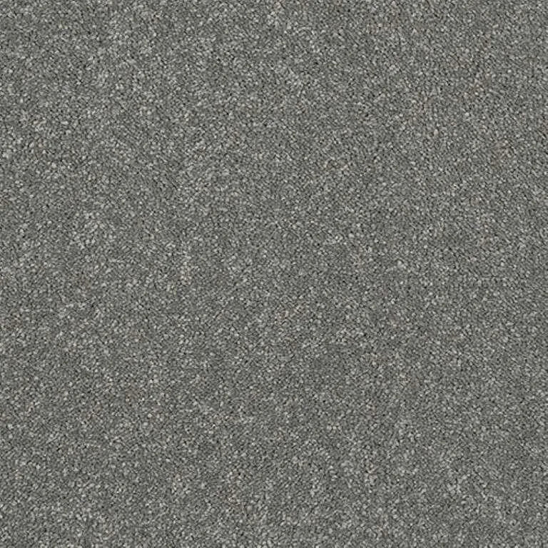 Abingdon Stainfree Caress Carpet Exen Flooring