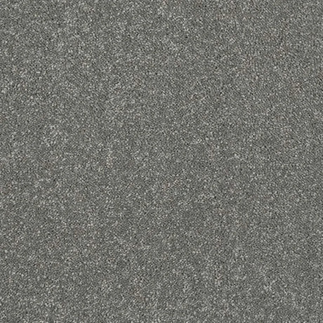 Abingdon Stainfree Caress Carpet Exen Flooring