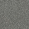 Abingdon Stainfree Caress Carpet Exen Flooring