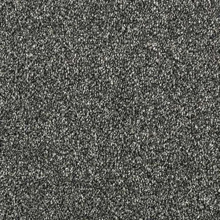 Abingdon Stainfree Country Life Carpet Exen Flooring