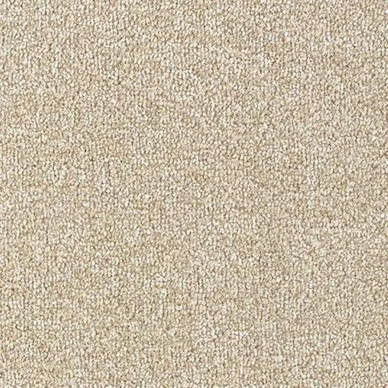 Abingdon Stainfree Country Life Carpet Exen Flooring
