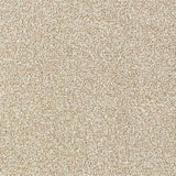 Abingdon Stainfree Country Life Carpet Exen Flooring