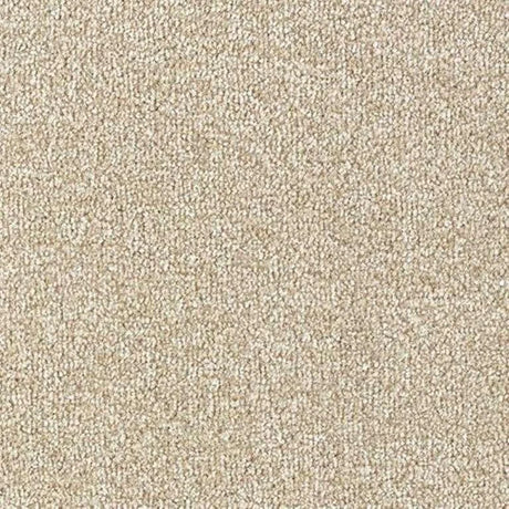 Abingdon Stainfree Country Life Carpet Exen Flooring