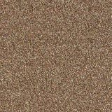 Abingdon Stainfree Country Life Carpet Exen Flooring