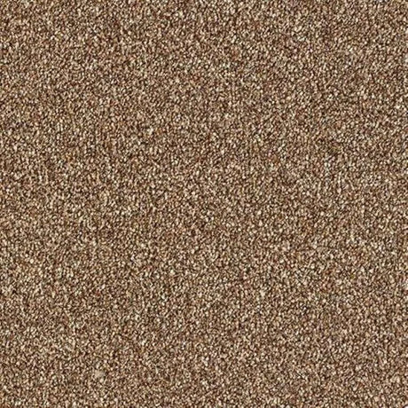 Abingdon Stainfree Country Life Carpet Exen Flooring